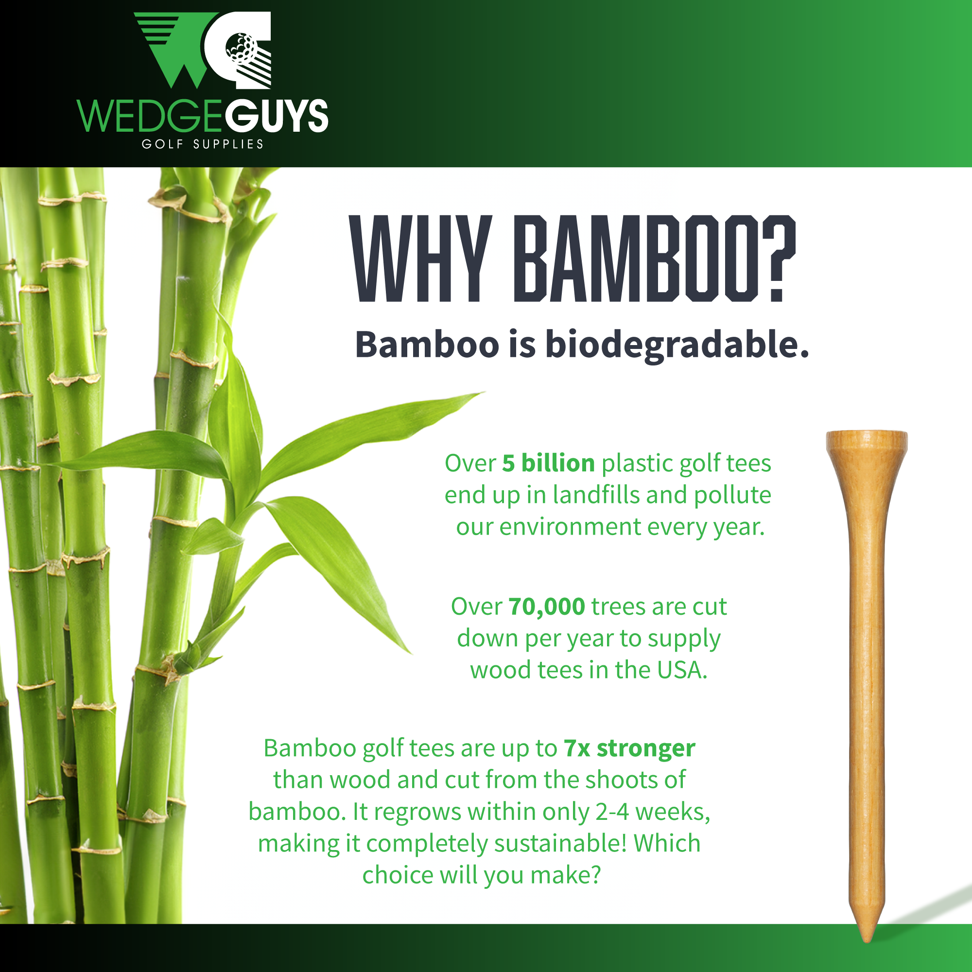 Bamboo Golf Tees