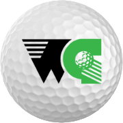 Wedge Guys logo
